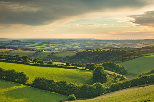 Above North Molton