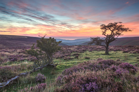 Porlock Common