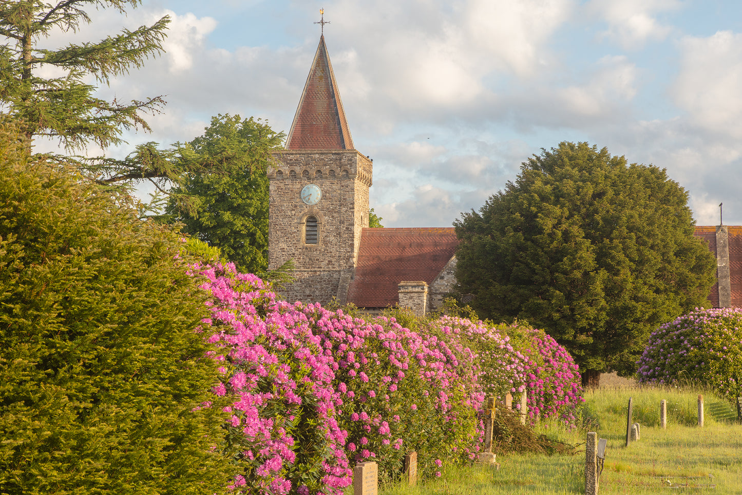 Filleigh Church Flowers