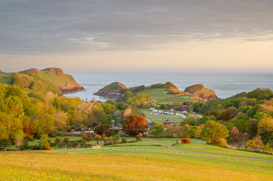 Watermouth Cove Summer