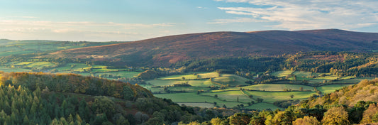 Luccombe Panorama