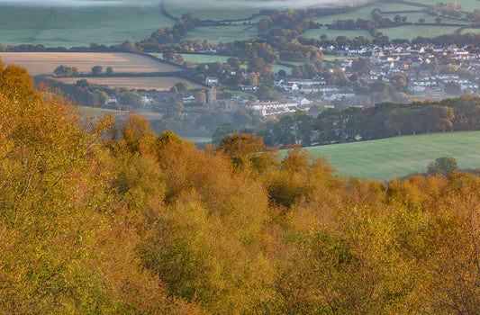Landkey Autumn
