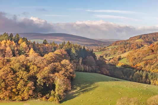 Vinegar Hill Towards Dunkery Beacon