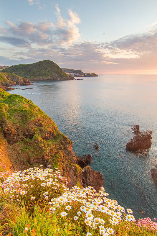 Ilfracombe Coast