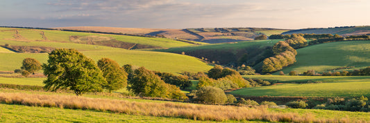 Simonsbath Fields Panorama