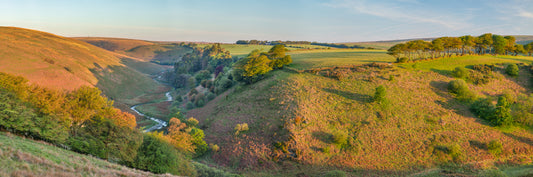Simonsbath Spring Panorama