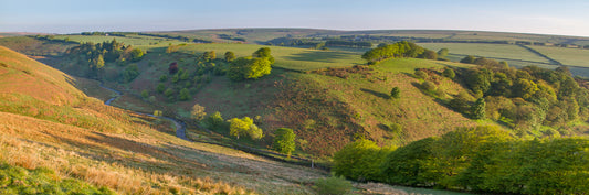 Simonsbath Summer Panorama